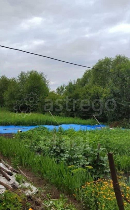 Дом, 54 м2, 15 соток, 1 эт. Райчихинск - изображение 4