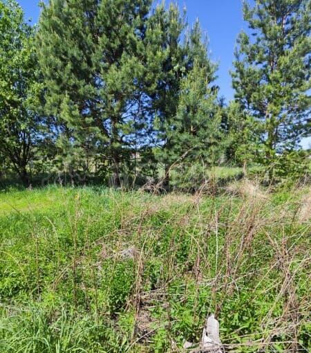 Земля с/х назначения, 9 соток Сосновоборск - изображение 5