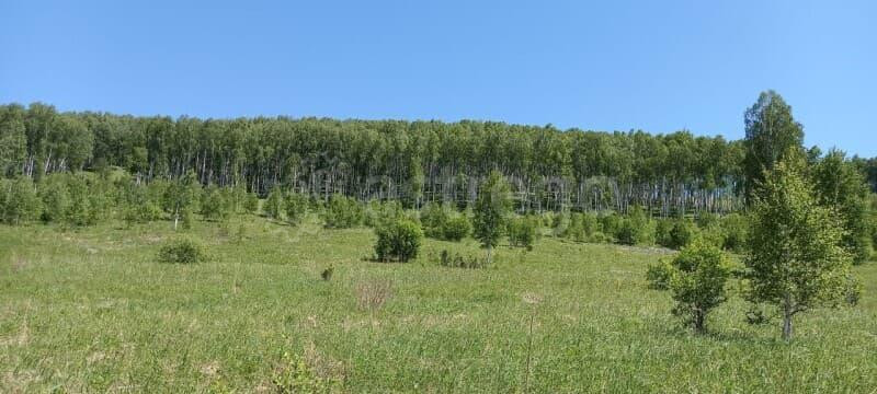 Коммерческий участок, 27 соток Алтайское - изображение 1