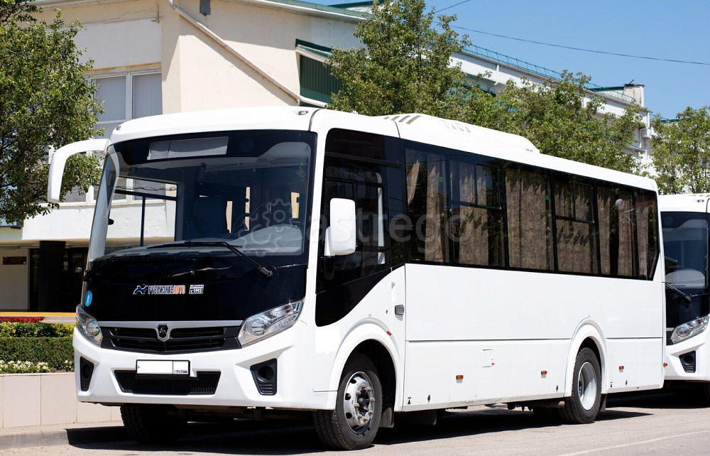 ПАЗ 320455-04 Вектор Некст 8,8м дв.ЯМЗ Е-3, МЕЖГОРОД 30/48 Краснодар - изображение 1