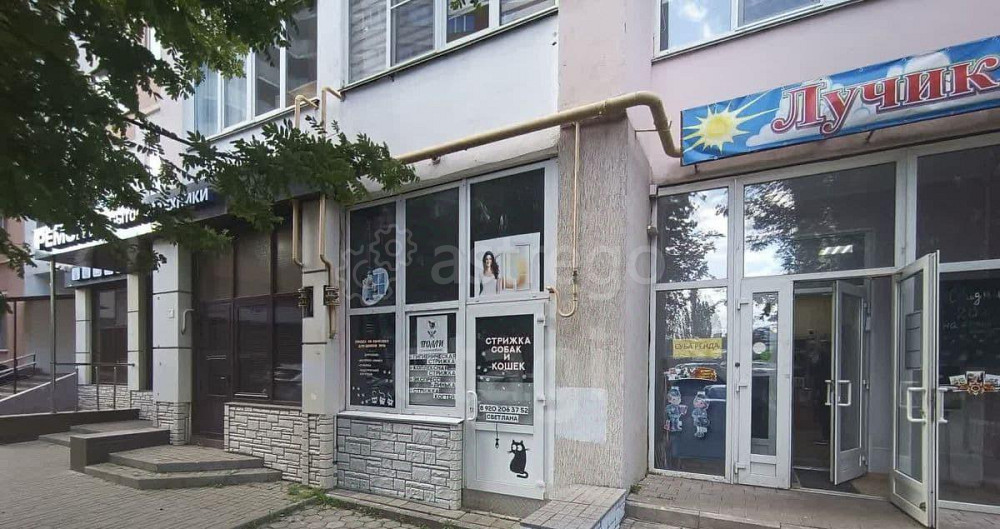 Торговое помещение, 82 м2 Белгород - изображение 7