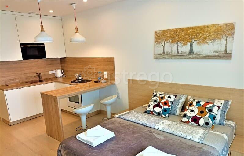 Студия, 24 м2, 2/25 эт. Балашиха - изображение 2