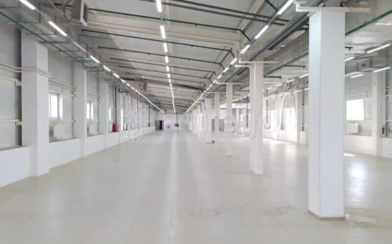 Свободного назначения, 906 м2 Фрязино - изображение 1