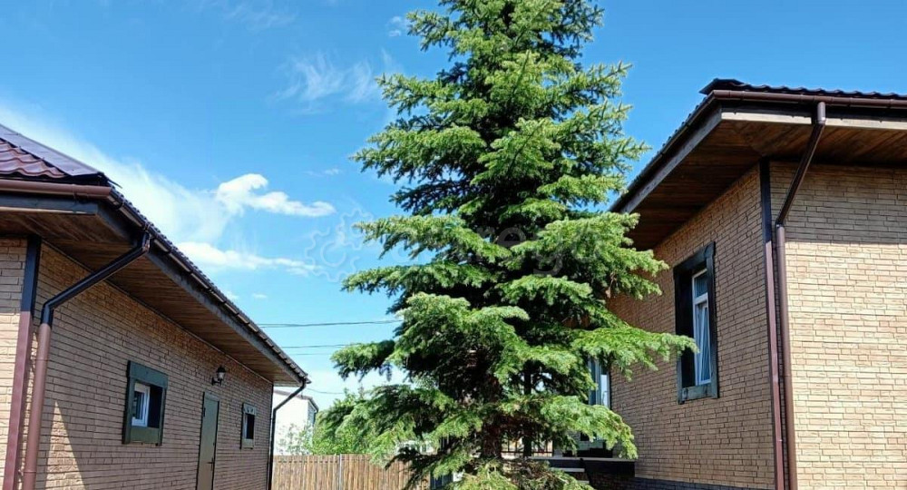 Дом, 100 м2, 7.8 сотки, 1 эт. Красноярск - изображение 4