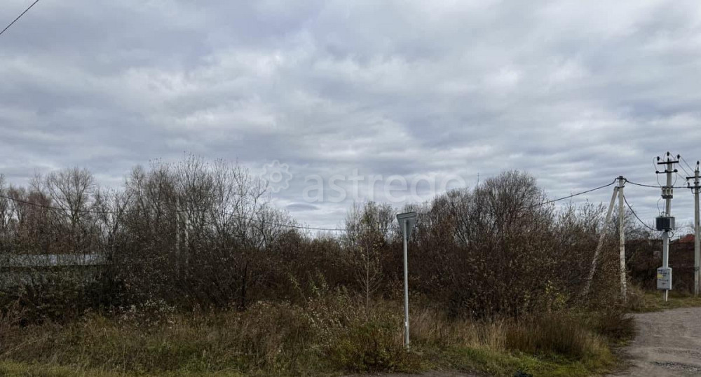 Земельный участок, 6 соток Березовка - изображение 6