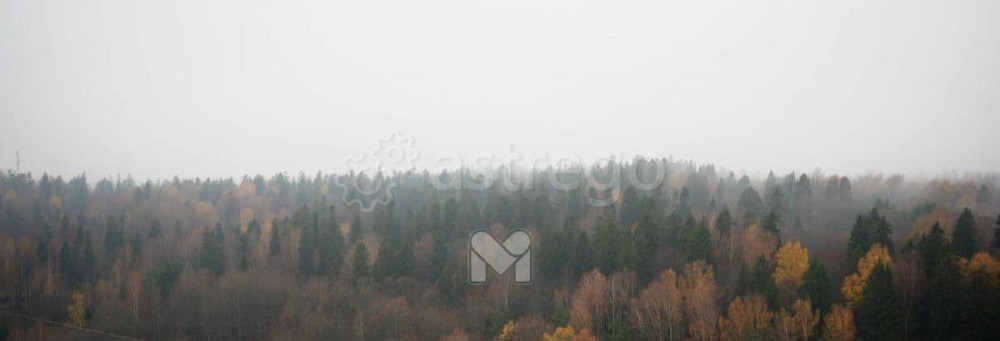 4-комн. квартира, 104.25 м2, 11/23 эт. Санкт-Петербург - изображение 3