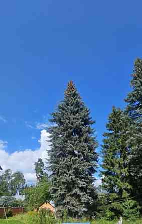 Земельный участок, 17.81 сотки Пушкино