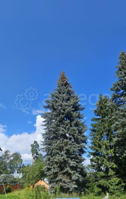 Земельный участок, 17.81 сотки Пушкино - изображение 3