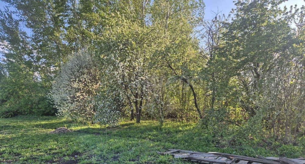 Земельный участок, 14.94 сотки Белокуриха - изображение 6