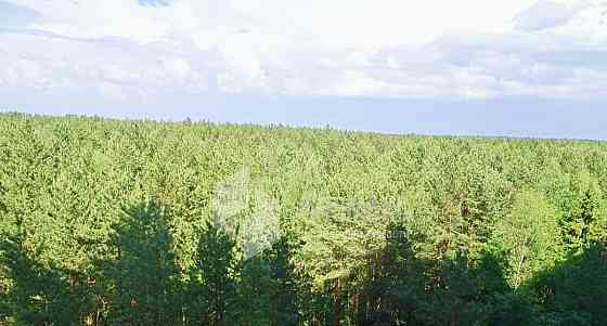 2-комн. квартира, 81.8 м2, 10/14 эт. Апрелевка