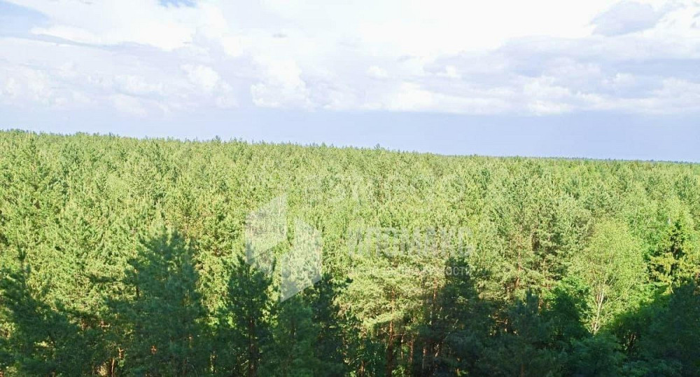 2-комн. квартира, 81.8 м2, 10/14 эт. Апрелевка - изображение 2