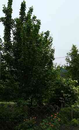 Дом, 43.2 м2, 18 соток, 1 эт. Шушенское