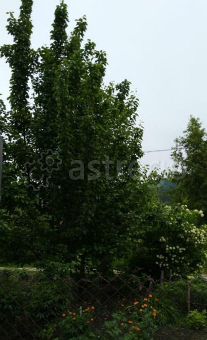 Дом, 43.2 м2, 18 соток, 1 эт. Шушенское - изображение 4