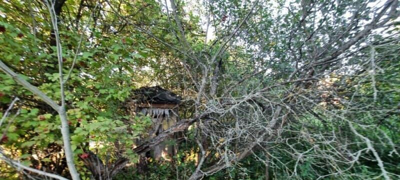 Дача, 25 м2 Москва - изображение 10