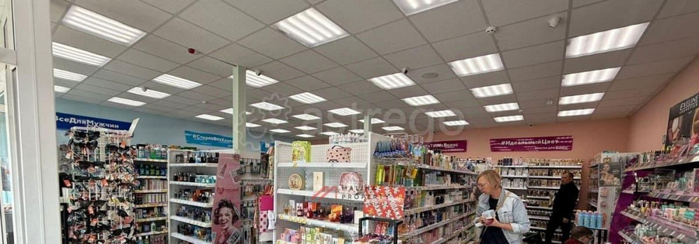 Торговое помещение, 114 м2 Дедовск - изображение 6