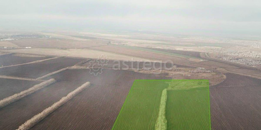 Коммерческий участок, 86.73 га Барнаул - изображение 3