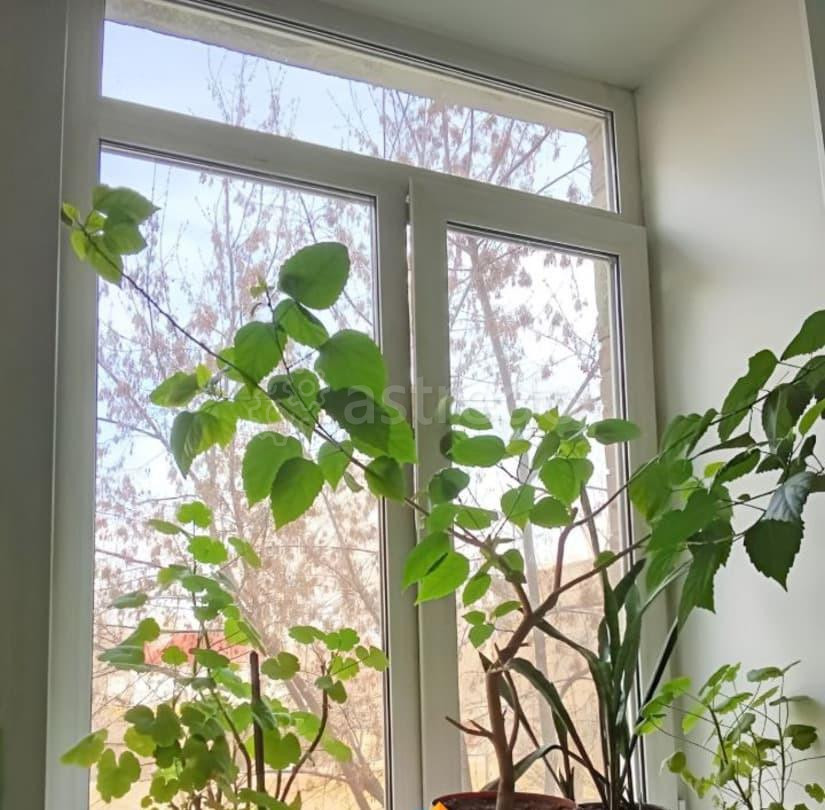 Комната, 16.2 м2, 2/4 эт. Красноярск - изображение 5