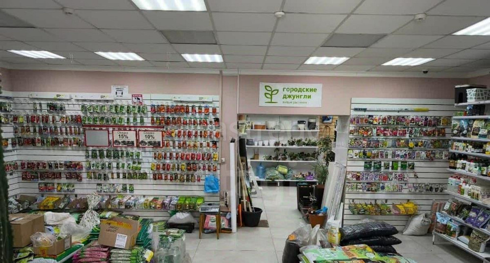 Торговое помещение, 74.2 м2 Уфа - изображение 3