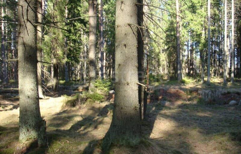 Земельный участок, 8 соток Павловский Посад - изображение 10