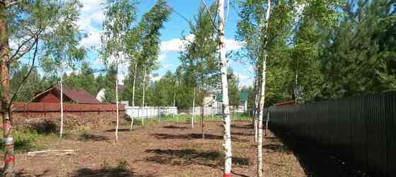 Земля с/х назначения, 8 соток Павловский Посад