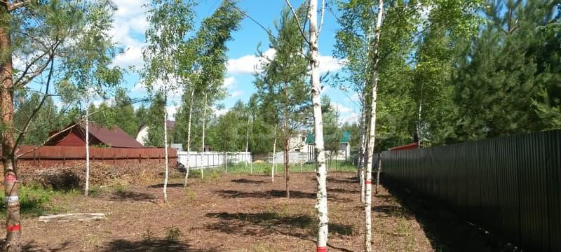 Земля с/х назначения, 8 соток Павловский Посад - изображение 4