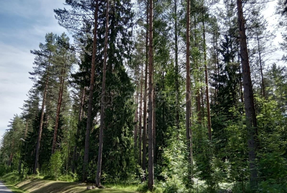 Земельный участок, 14 соток Санкт-Петербург - изображение 8