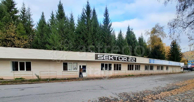 Торговое помещение, 530.3 м2 Алтайское - изображение 3