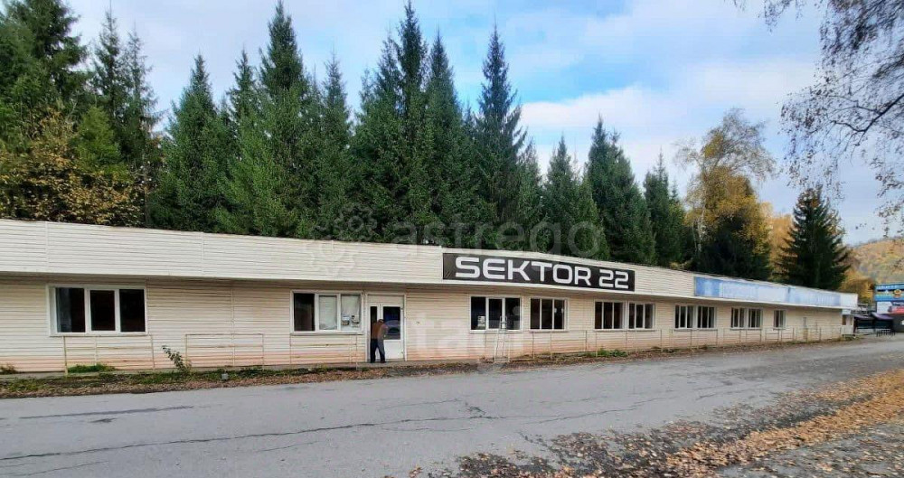 Торговое помещение, 530.3 м2 Алтайское - изображение 3