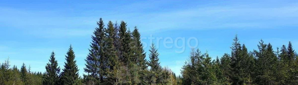 Земельный участок, 16.07 сотки Няндома - изображение 2