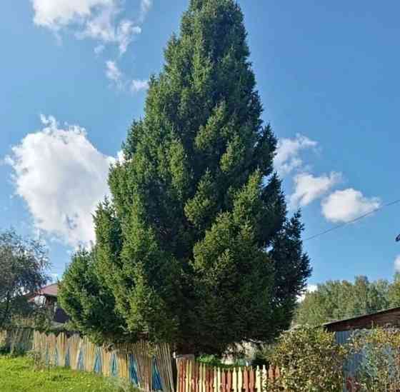 Коттедж, 200 м2, 22 сотки, 2 эт. Курагино