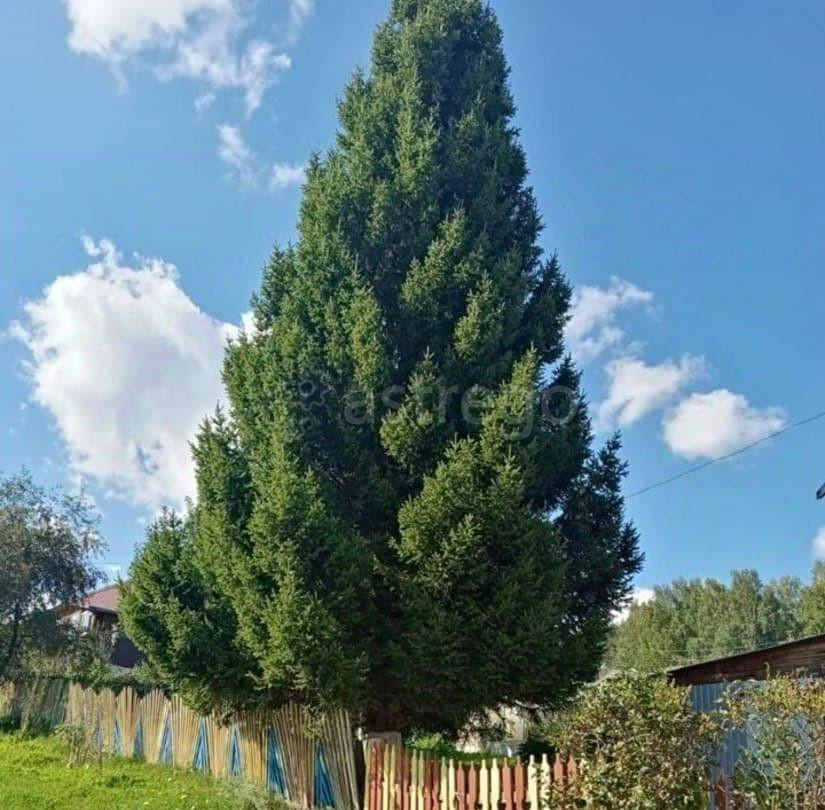 Коттедж, 200 м2, 22 сотки, 2 эт. Курагино - изображение 6