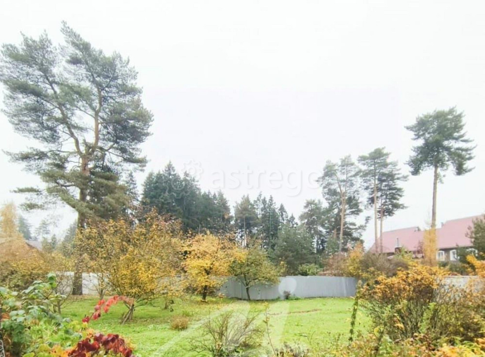 Земельный участок, 10 соток Красногорск - изображение 5