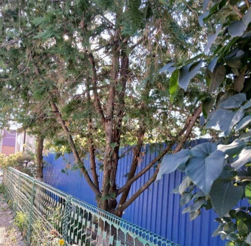 Дом, 172.4 м2, 4.48 сотки, 1 эт. Астрахань - изображение 1