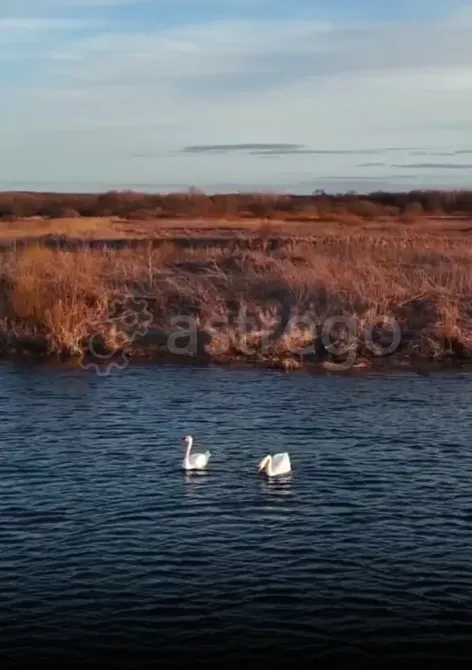 Продам участок, ИЖС, 50 сот. Ульяновск - изображение 2