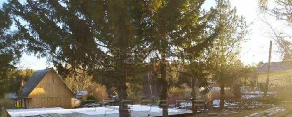 Земельный участок, 20 соток Емельяново - изображение 3