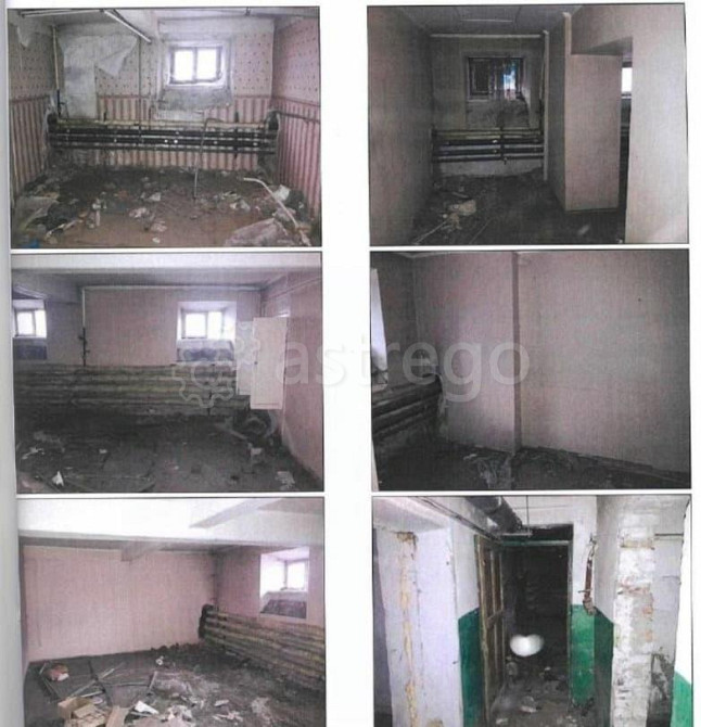 Свободного назначения, 349.9 м2 Барнаул - изображение 3