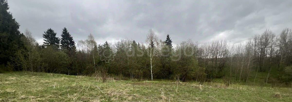 Земельный участок, 10 соток Истра - изображение 2