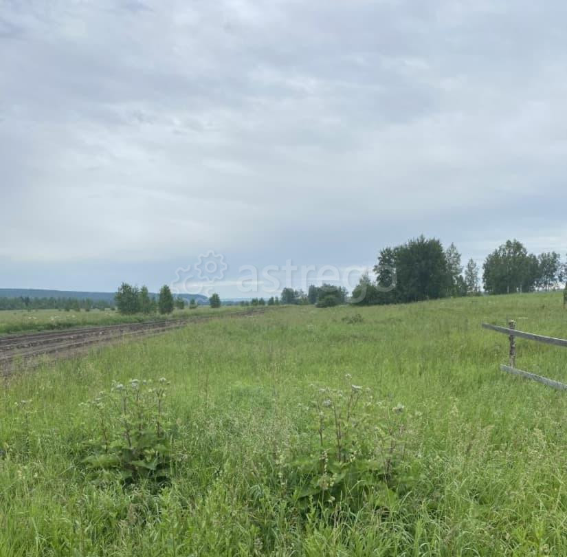 Земельный участок, 10 соток Емельяново - изображение 4