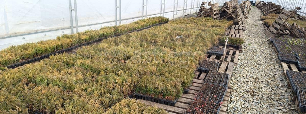 Торговое помещение, 37662 м Тульский - изображение 10