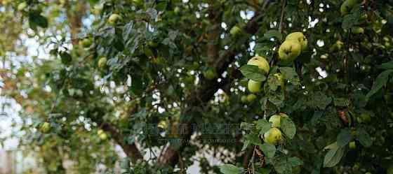 Дом, 200 м2, 10 соток, 2 эт. Лобня