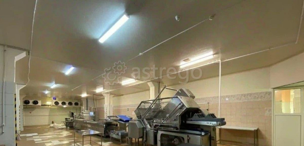 Производственное, 4850 м2 Санкт-Петербург - изображение 6