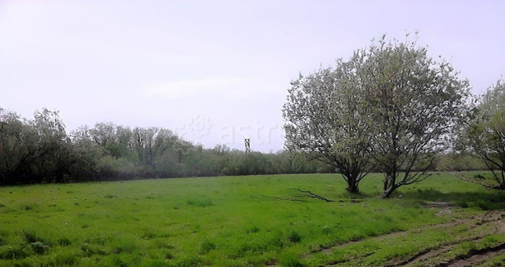 Земельный участок, 2.4 га Архангельск - изображение 7