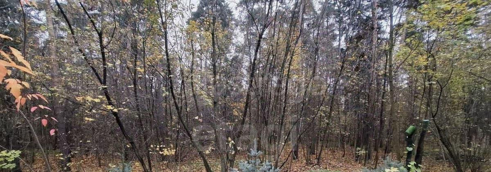 Земельный участок, 16.76 сотки Королев - изображение 1