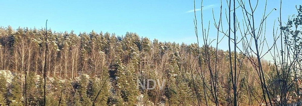 2-комн. квартира, 72.94 м2, 4/17 эт. Дзержинский - изображение 1