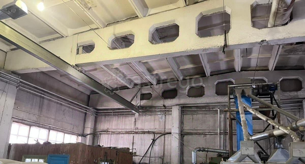 Производственное, 2500 м2 Рубцовск - изображение 6