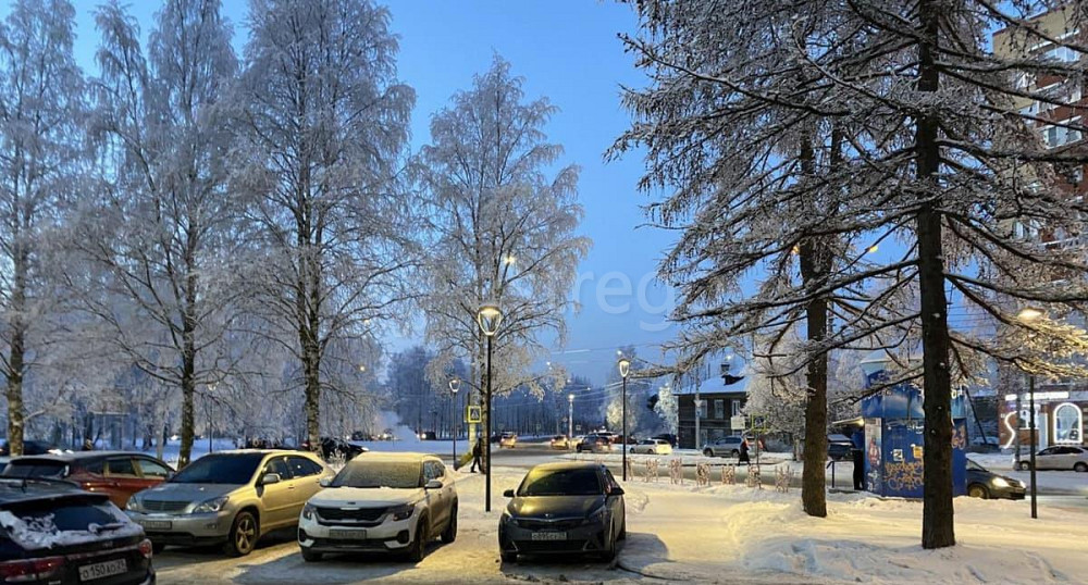 Торговое помещение, 86 м2 Архангельск - изображение 2