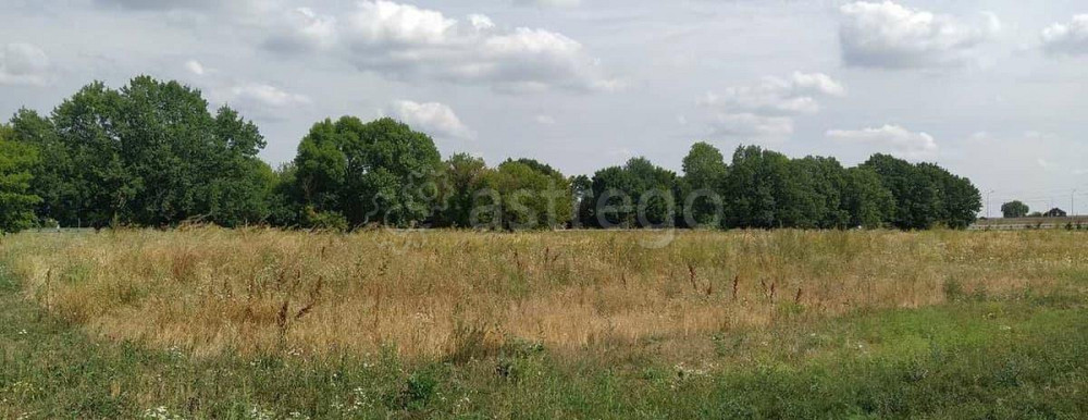 Земельный участок, 1.47 га Разумное - изображение 4