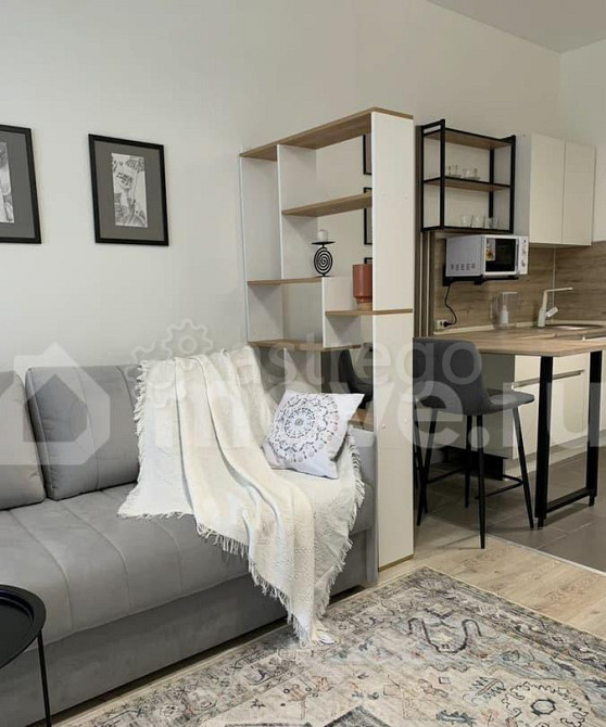 Студия, 24.8 м2, 5/9 эт. Москва - изображение 6