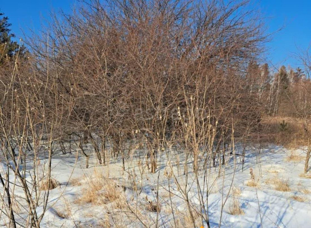 Земельный участок, 11 соток Благовещенск - изображение 6