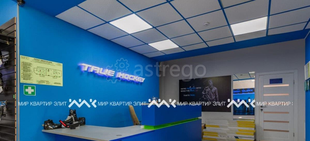Свободного назначения, 246.3 м2 Санкт-Петербург - изображение 6